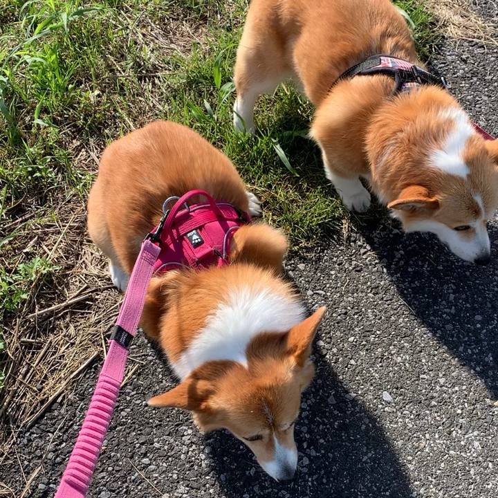 38adab69 b9f9 4c24 9c0c c3ec79dd5592 1654038933380