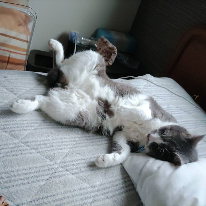 38adbb3a 9f82 413c 92aa 2f63bbb7a61e 1719195036885