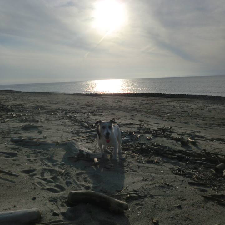 38add77a 0533 439c 9df9 e81f7790e9e6 1585567479650