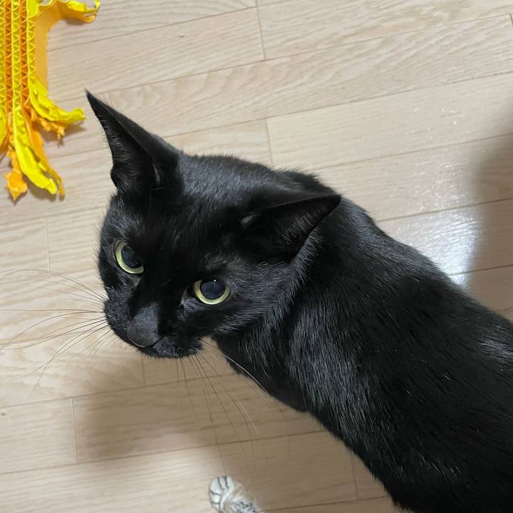 38ae170f 0b8d 49b0 b304 c64987ae7864 1700659220735