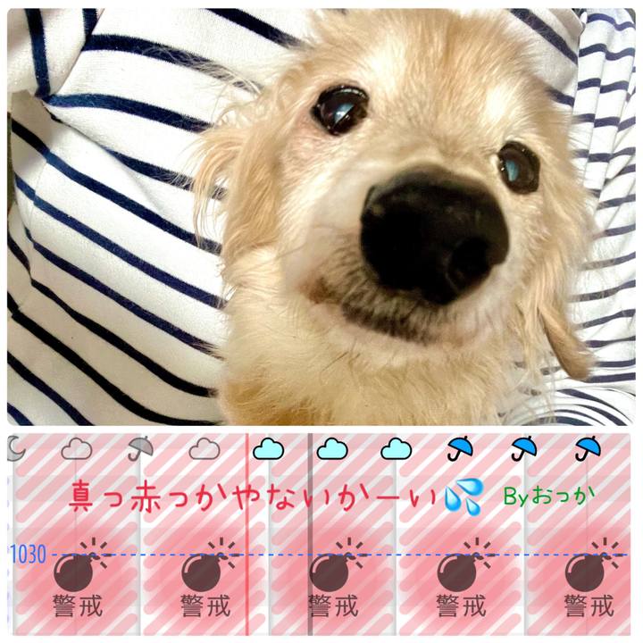 38ae2bd5 00b8 4f62 8347 c3f8b77cb1db 1699228681373