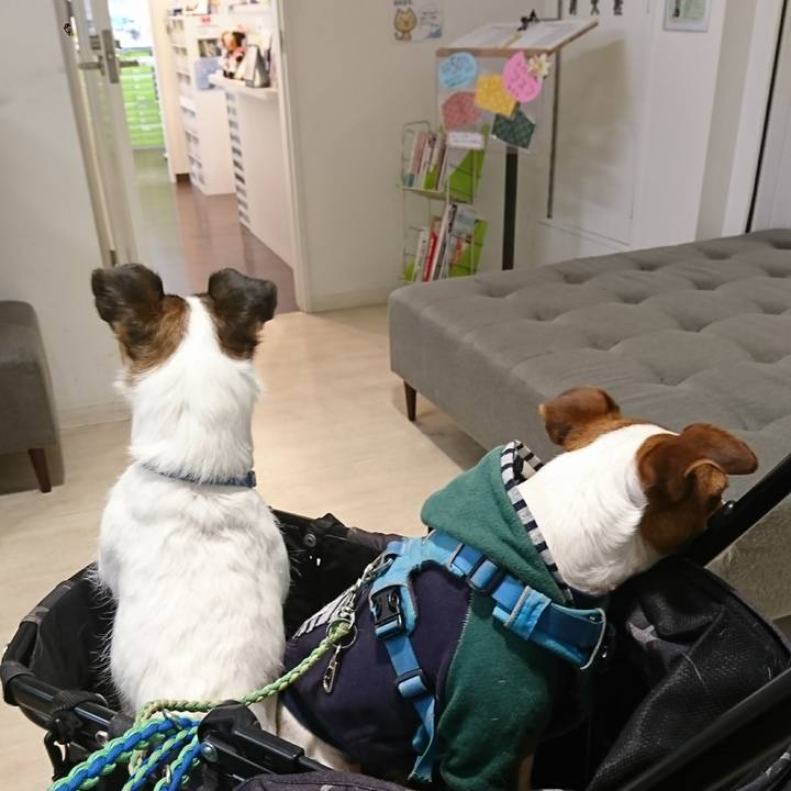 38ae322c d2be 4776 a041 6104f585eb73 1614149828541