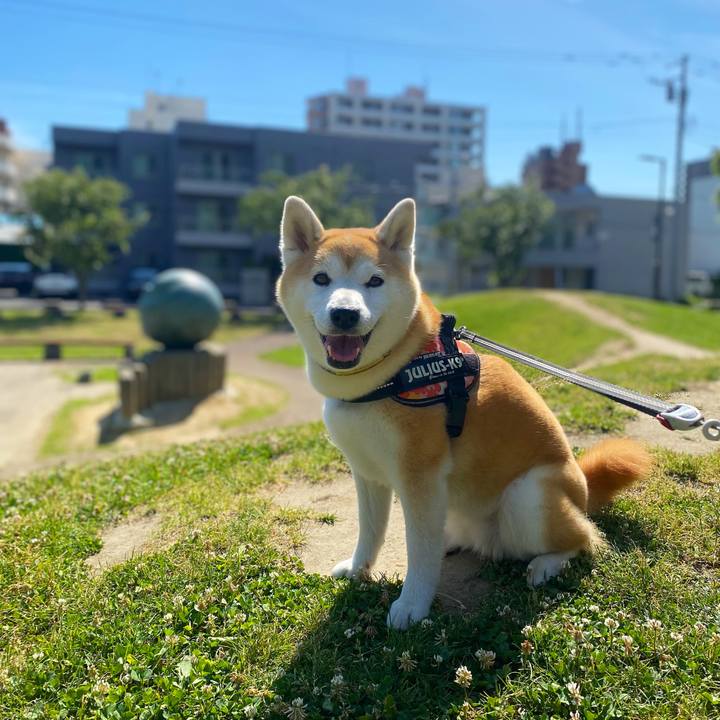 38aeabb0 3ab7 4523 b5a9 cc998004c3a0 1687834082088