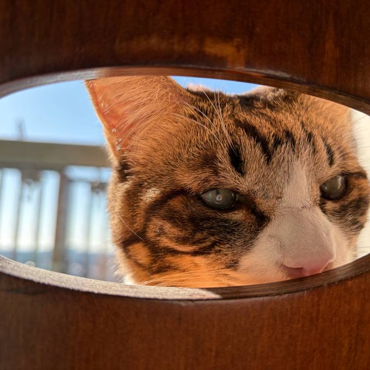 38aed32e 5719 4f1e 8a5a e84241c27a63 1766973132607