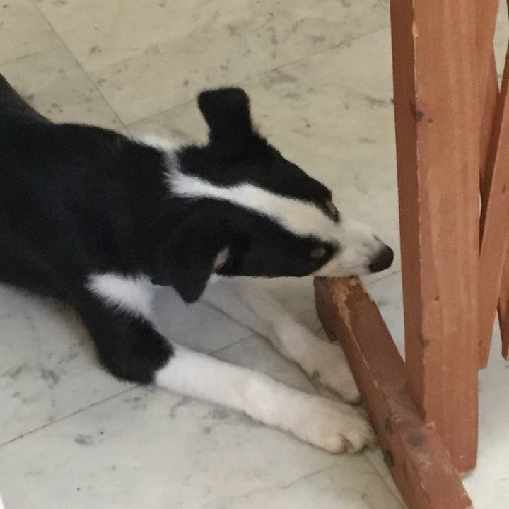 38aefbec 787f 44b2 9772 6e495d586bc7 1561978889680