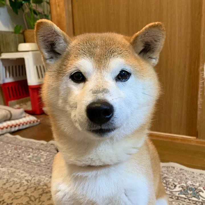 38af0612 4c29 4a5d 8434 adf9abe5c352 1669712127502