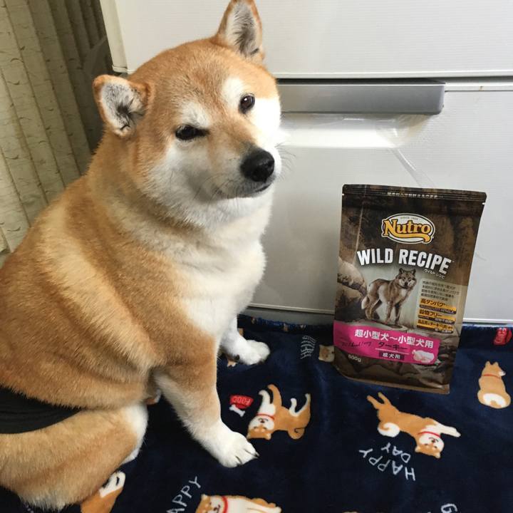 38af912f e88e 40af a38e 9bb562817e51 1609807379653