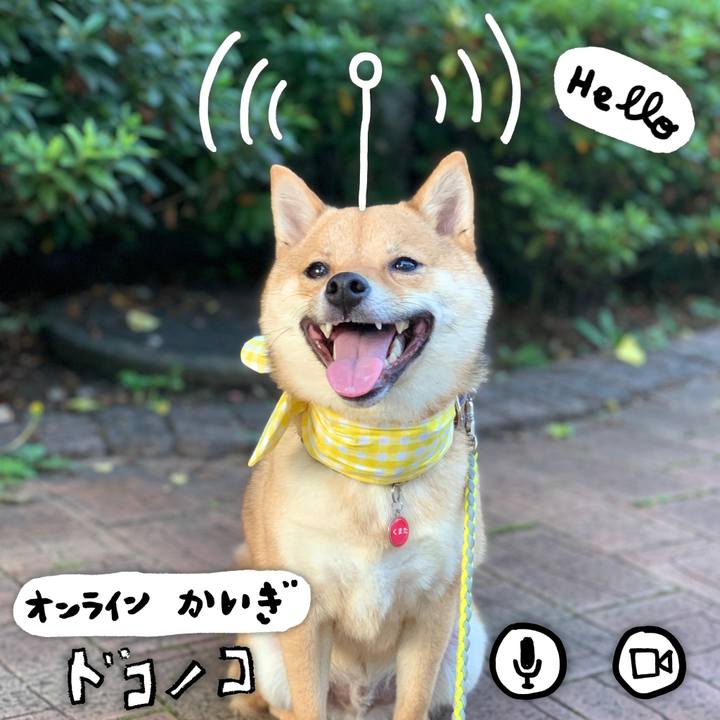 38afd741 7230 4c82 99d3 3041ed616558 1591106716510