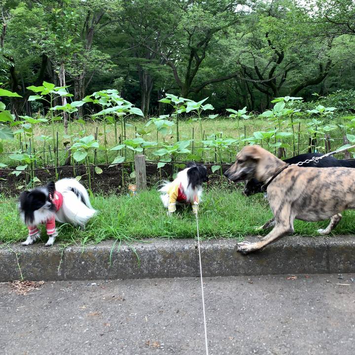 38afda39 390f 4a28 88b4 999d677c38d5 1562623848604