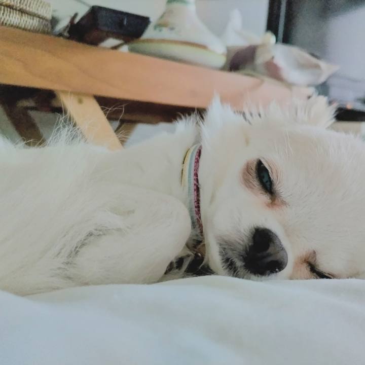 38aff757 e22f 4aa3 b21e 6ca15d46b2ac 1748119956086