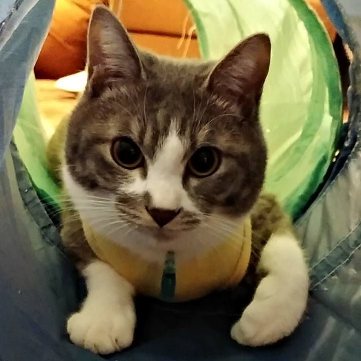 38b02010 a312 4763 9da2 660cf95440ae 1584883254459