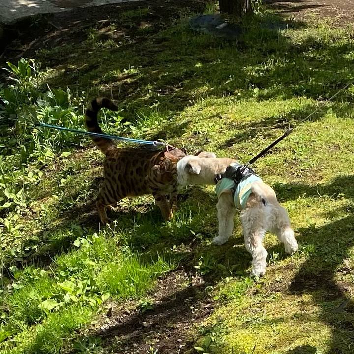 38b038d9 fb3a 484a b012 a19f0b20ff57 1618741128293