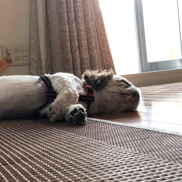 38b03efd e9ae 4d52 b97a df36e84a938b 1592862435829