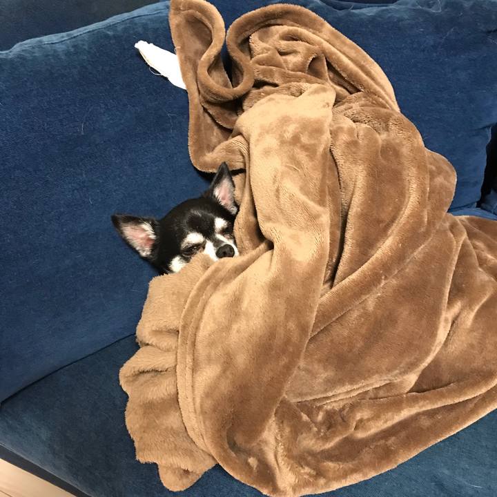 38b04140 b0f8 4829 a9af e765ecb244d3 1572005229248