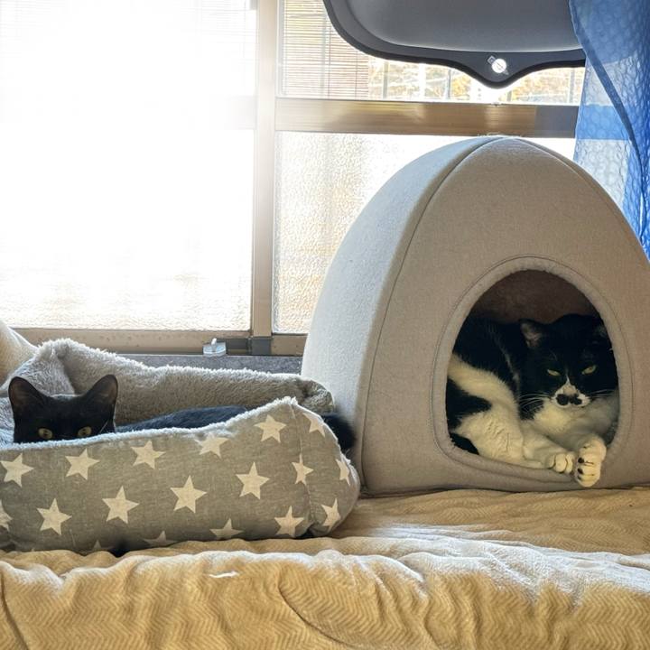 38b0707c 0ac1 47e1 9d6e 75976998bbbc 1735527187559