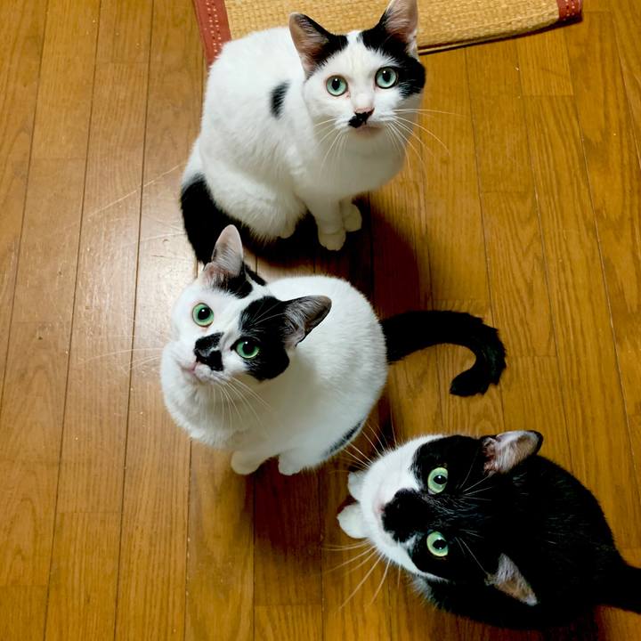 38b075ee d566 40b0 a172 51dd45ff23b1 1593305742726