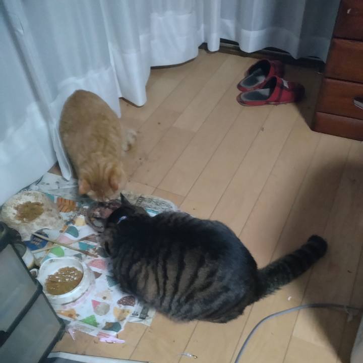 38b07b3b afb4 4f9c 83d0 17fbf7bee92f 1674255114967