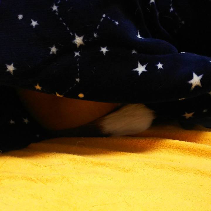 38b095c7 257d 468e aa9d 252451aebff5 1583671328035