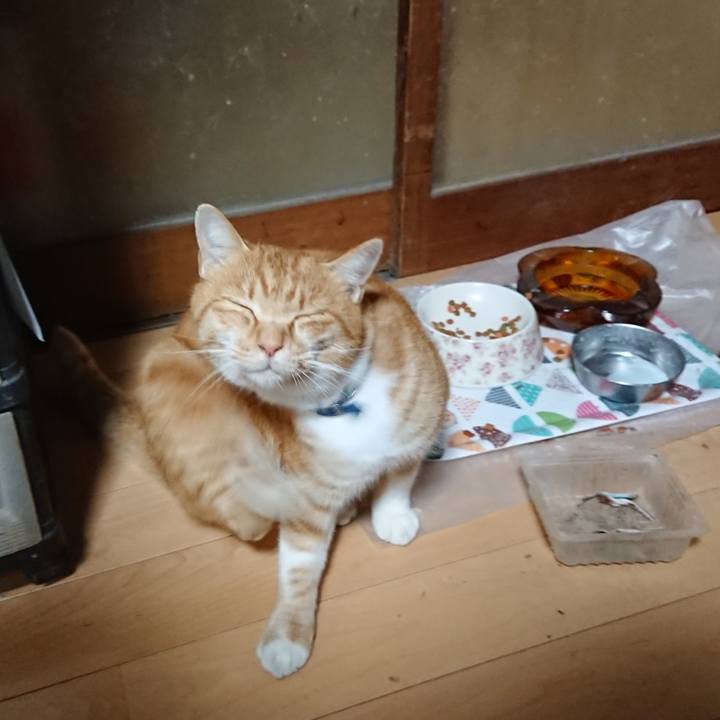 38b0c466 8503 46ab 8e14 bccef7ee4490 1605695360980