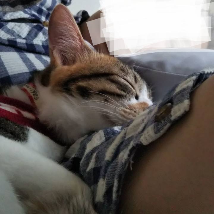 38b0e53d 9174 407e 94a1 8b1d99707d3f 1634281736269