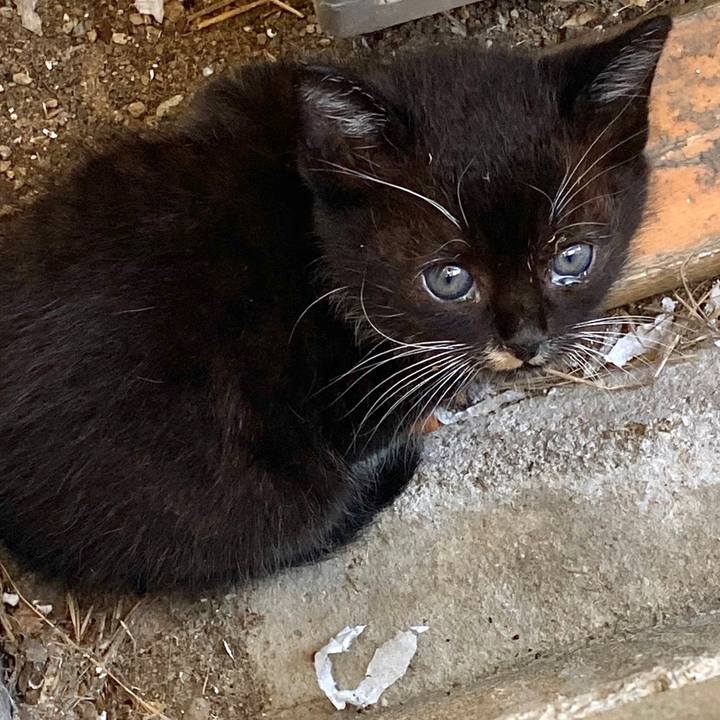 38b103de 7218 449f b675 3241a44ae630 1579348734796