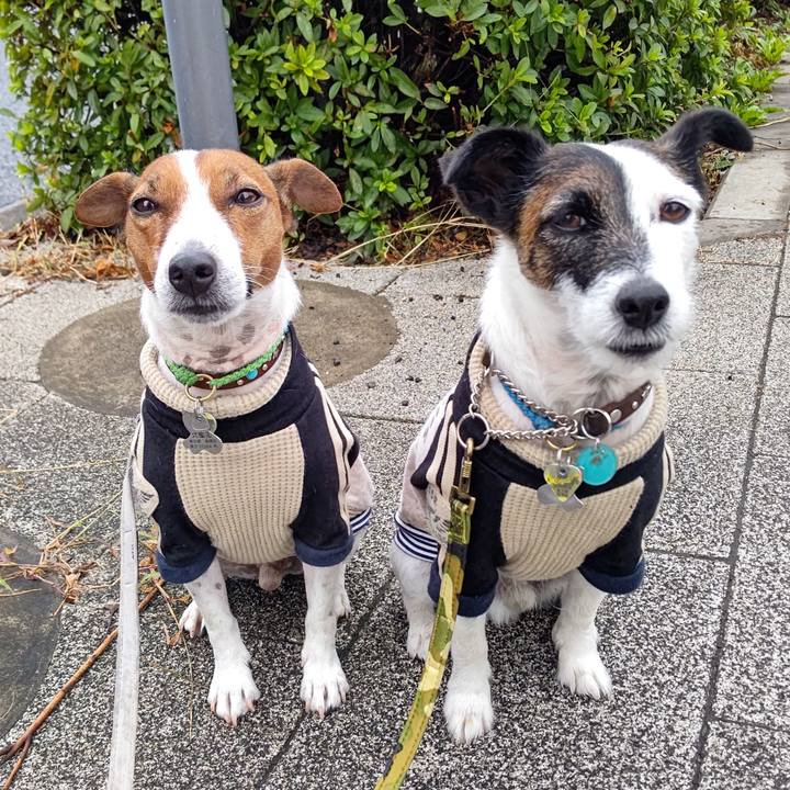 38b11c3e feac 4223 b2bb 1bc6cea0ab75 1665354322349