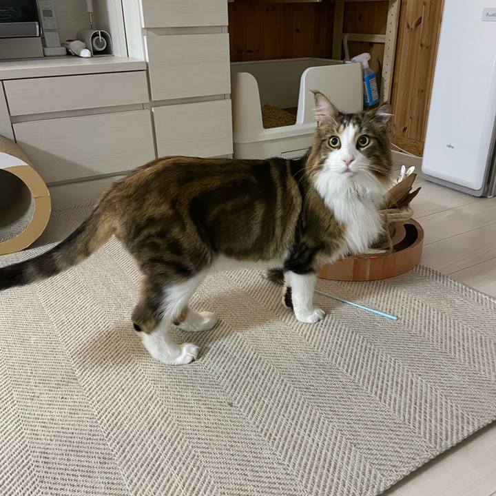 38b12308 789c 4b91 9a49 a552a56b9c0a 1663186101964