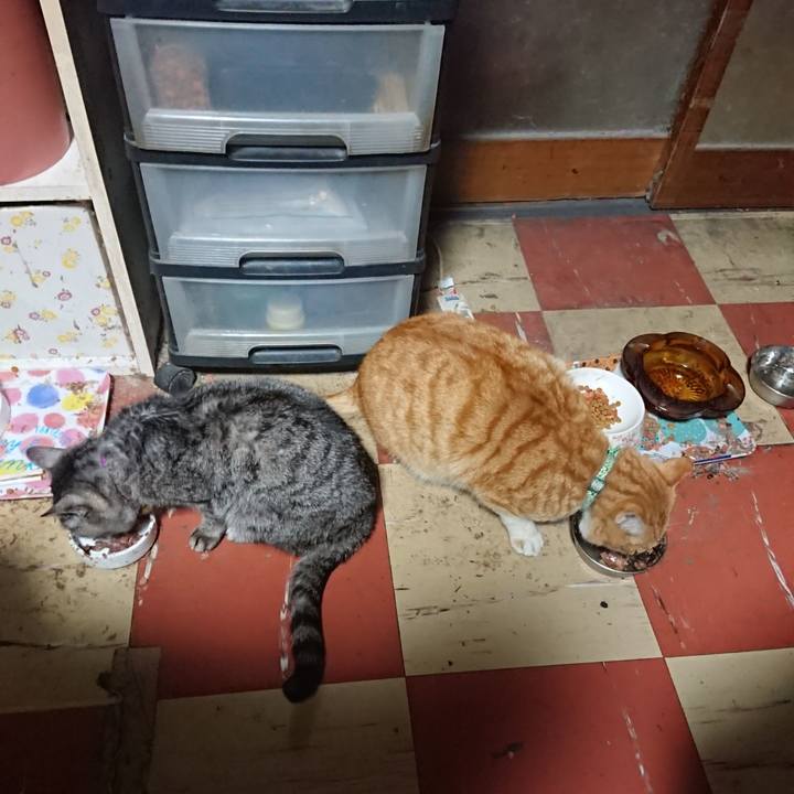 38b1376b 2bc6 44a9 84fc f824fd59475f 1583616239651