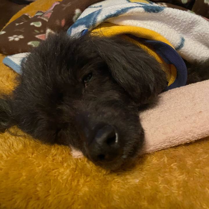 38b14298 e387 49f0 88b1 d02554a8312b 1613464014315