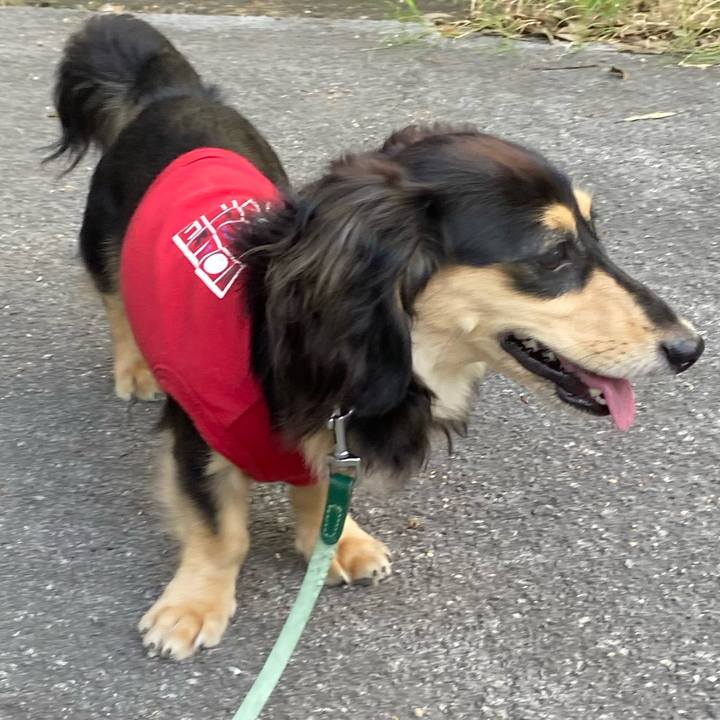 38b1437a 29c1 4100 91b9 90d81a4345e8 1689813037026