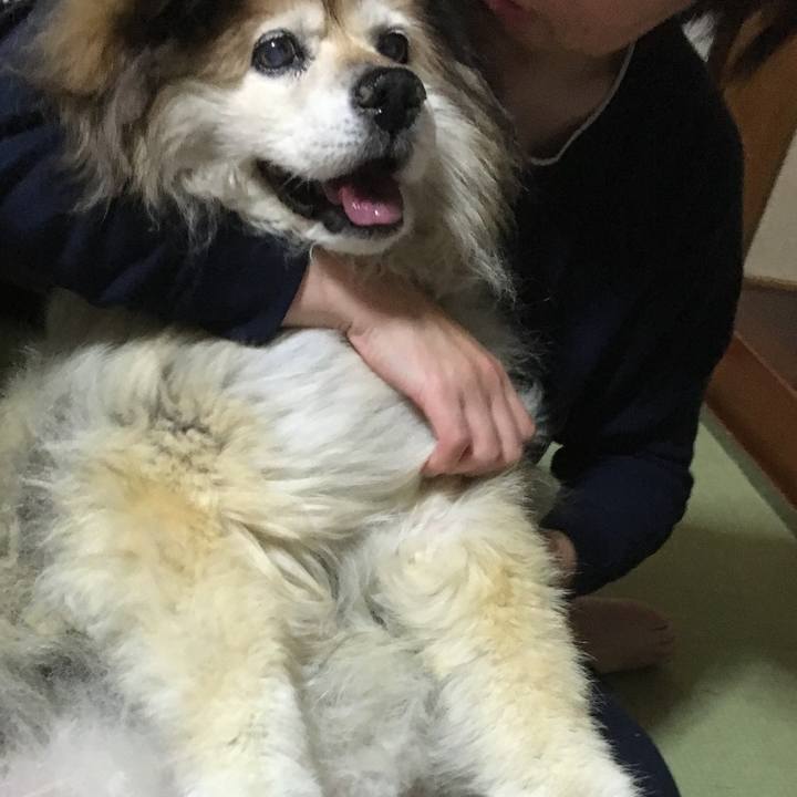 38b14499 3b65 442e b708 37fa3f0e7cc2 1616289228406