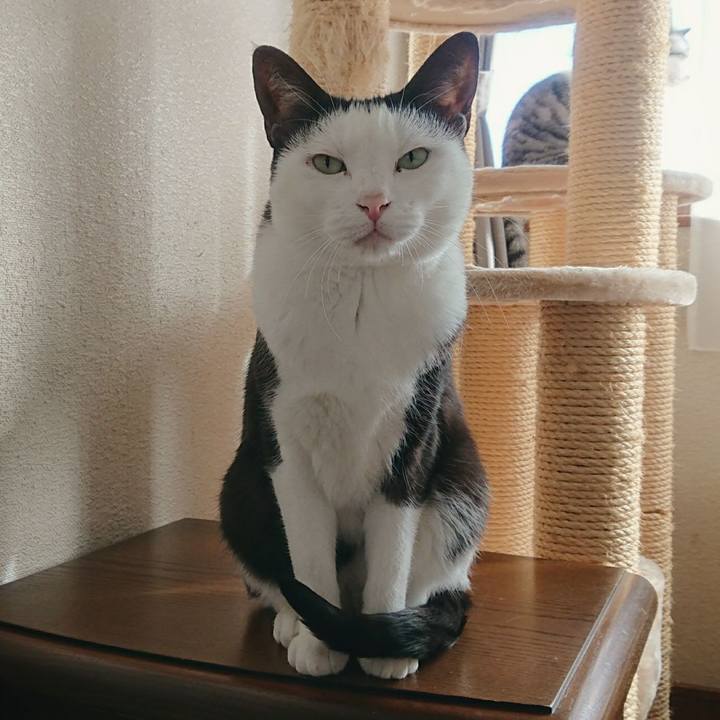 38b15386 d598 4a80 b568 0247fcb658ad 1509426988261