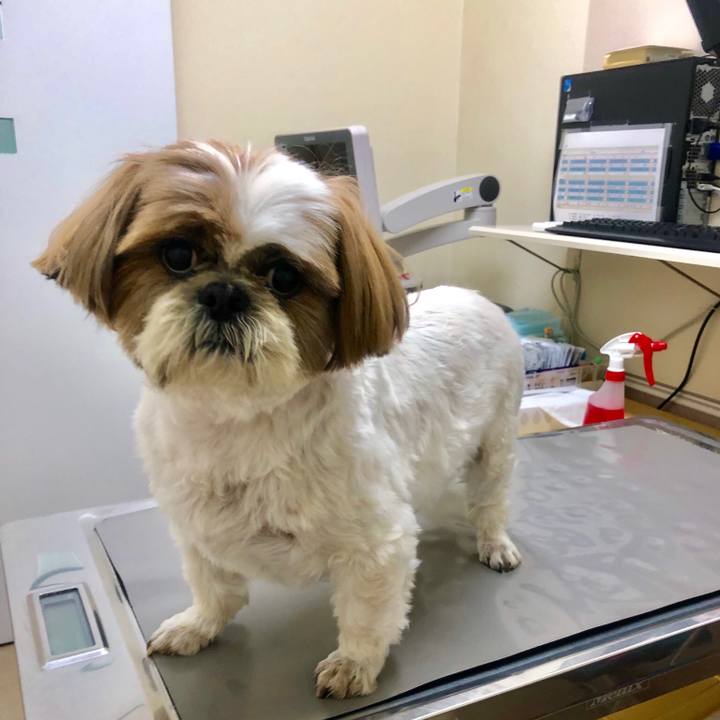 38b15a13 96bf 4fa0 b8d9 7c788622d12d 1556945035159