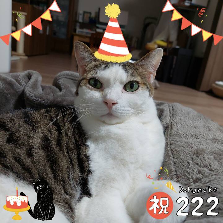 38b15dd1 6725 4cb7 98fe 729c8e874622 1645534679890