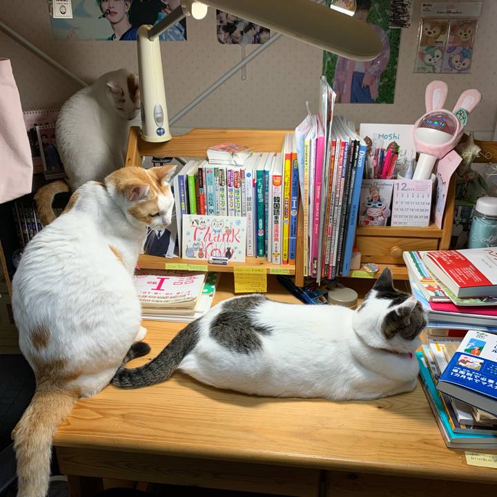 38b17d27 16c4 4ff0 9385 792149eb5309 1577138065281