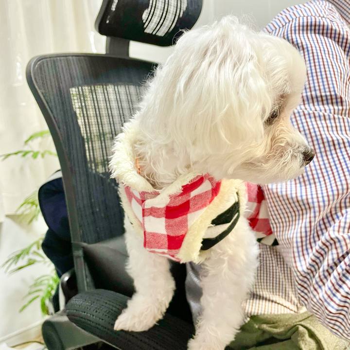 38b1954b dbe9 4138 9b30 dcd97903cade 1614916184138