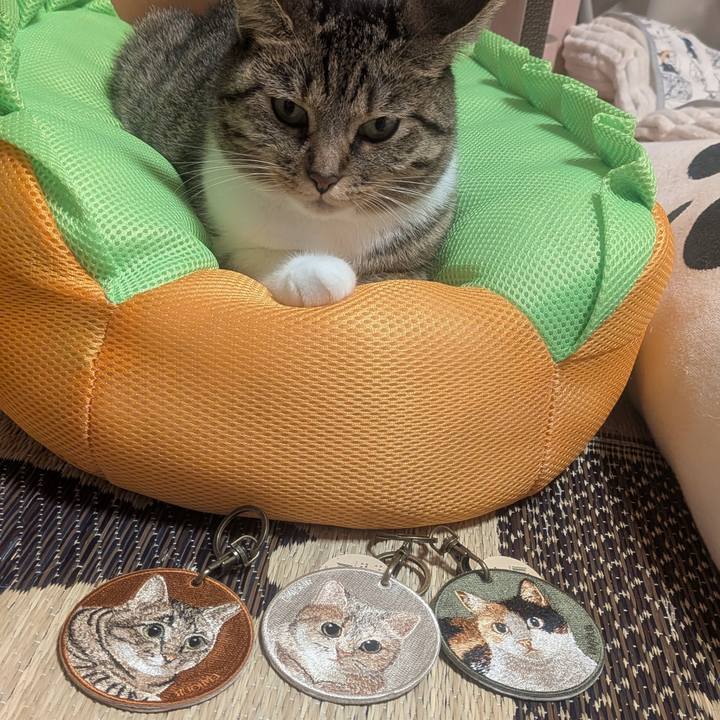 38b1b9bd 3770 43b5 ac9b 979f7d073aba 1758750475293