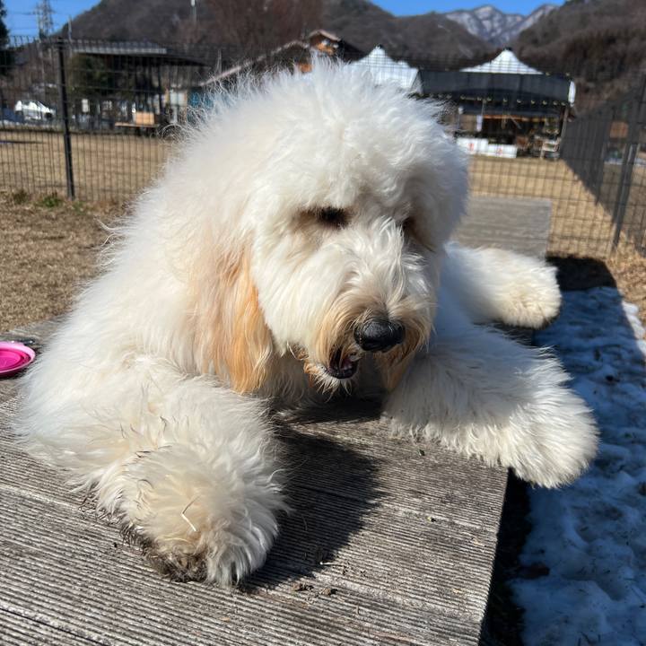 38b1d0a1 581c 4361 9cee bd2e1346e43e 1739689971606