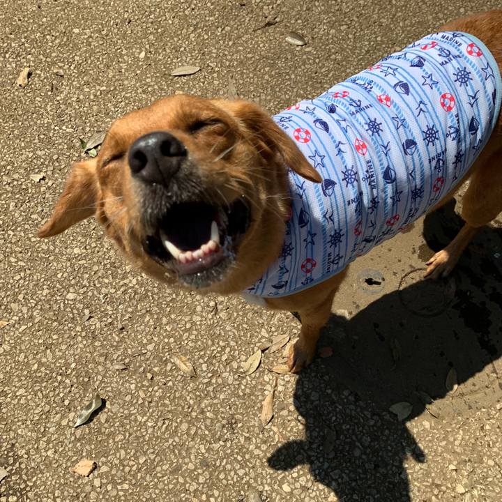 38b1e471 7e13 4741 b113 ca618547dfc4 1565141494578