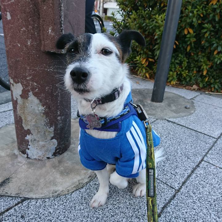 38b1efb5 e78c 4b08 91e2 65d828d7ad2a 1515967503848