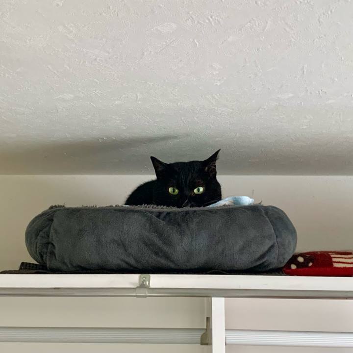 38b20f96 b01a 4e01 b020 8c888492f25e 1667703385883