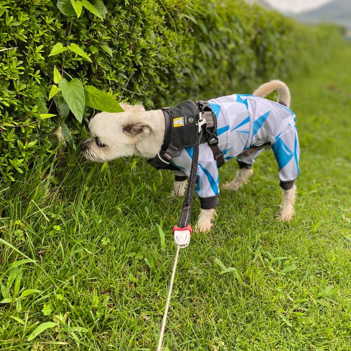 38b21e9b 1e78 4e87 ad76 5ba66a9bb03a 1595660844577