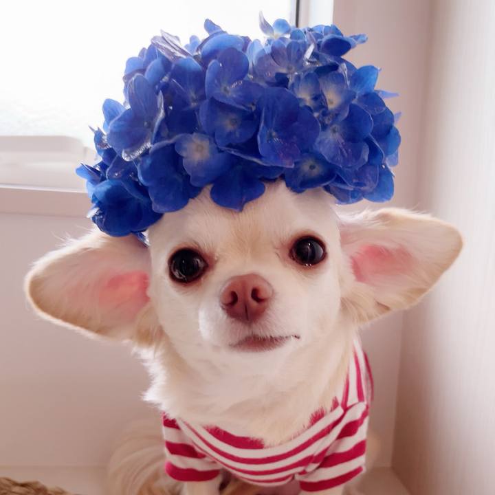 38b22cc5 5576 477c aad6 10f22823287f 1686184073372