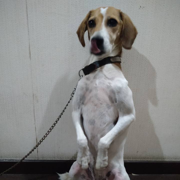 38b27283 5203 47e2 994f f6a7bece15a1 1662809492825