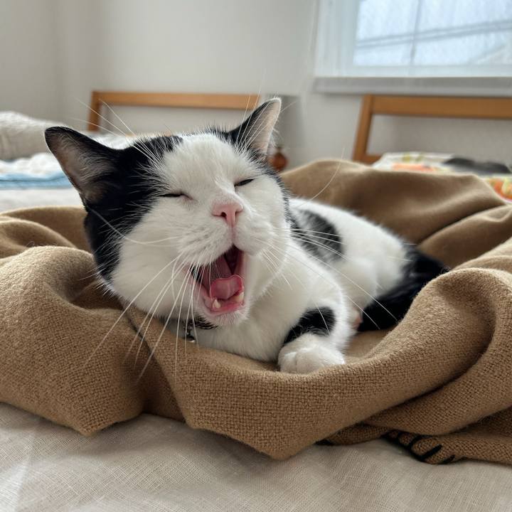 38b276fe fa85 4553 b2e7 febeba591431 1761261100629