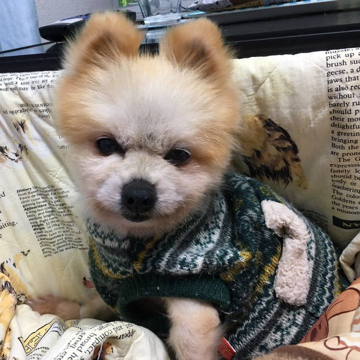 38b294fc 6f38 4291 816f dc4d4cc41697 1539033177842