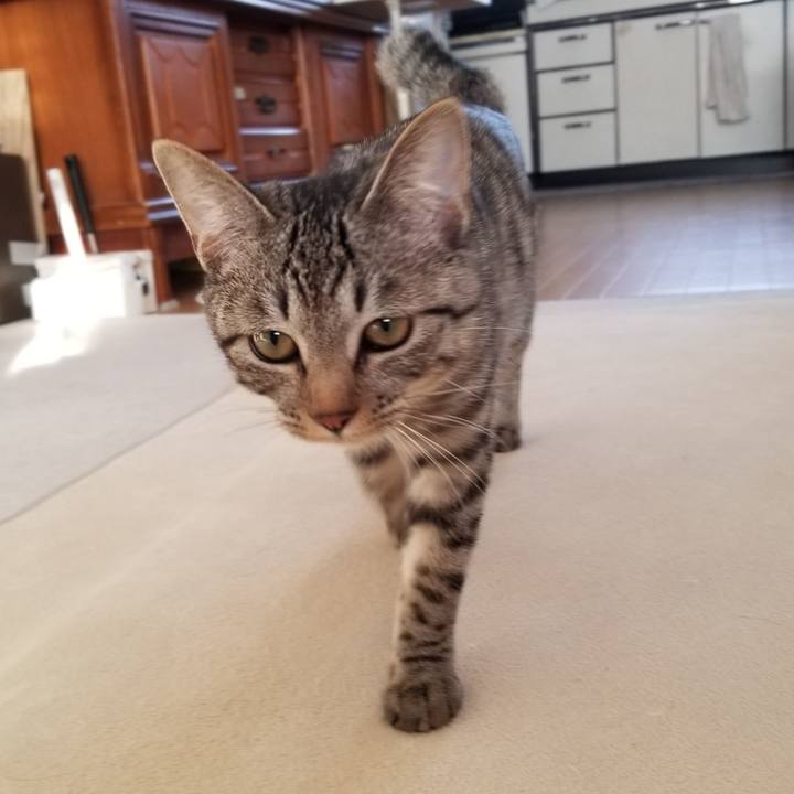 38b29893 7f72 4887 b277 9f9e12404ad7 1674210001517