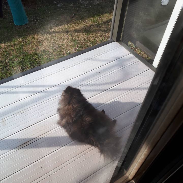 38b2adf9 7186 460d b064 8eae0186f0bf 1519342434990