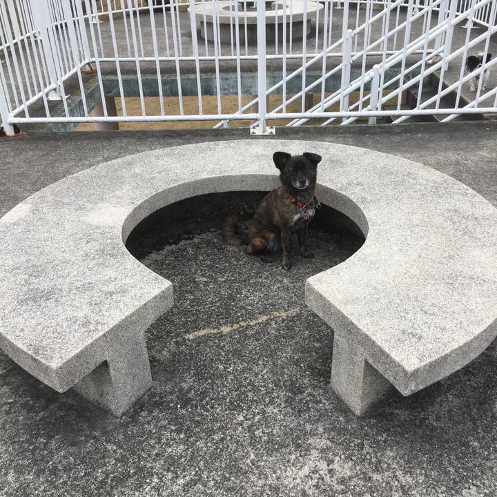 38b2bcf0 9f6c 49a5 82be 27a8fe3d6fdf 1520518916063