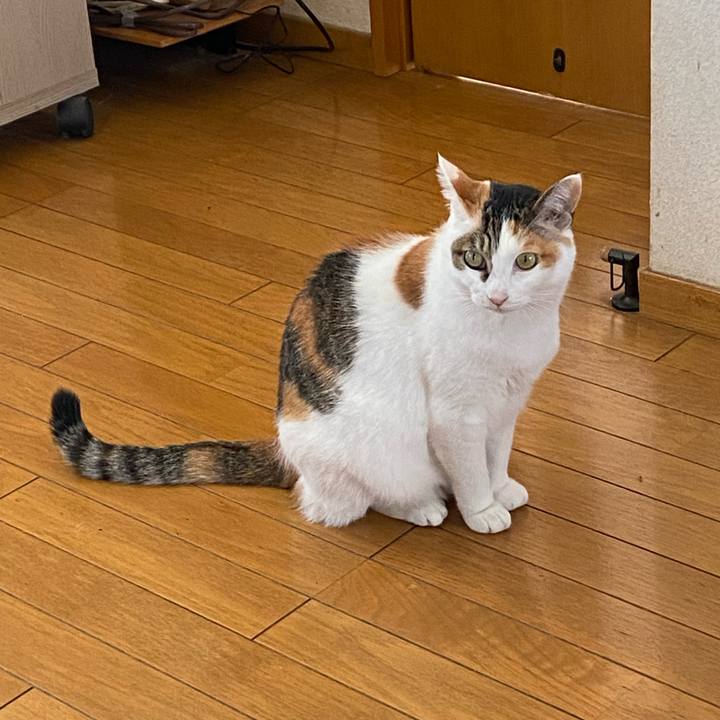 38b2c2e8 2ce2 432b 800a 0c4e0654ba7a 1768702973150